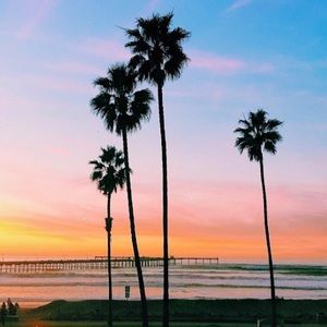 Meet your Posher, Alexander